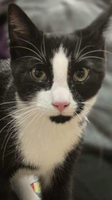 Leaf & Bean thumbnail 3