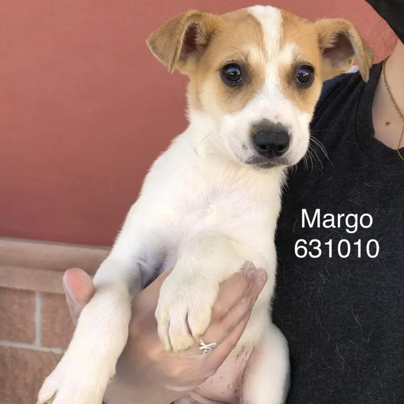 Margot thumbnail 5