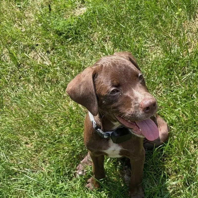 Ralph