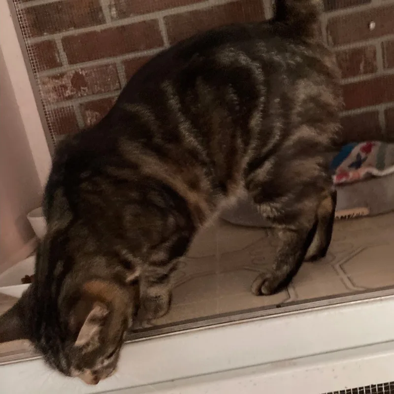 Chardonnay thumbnail 3