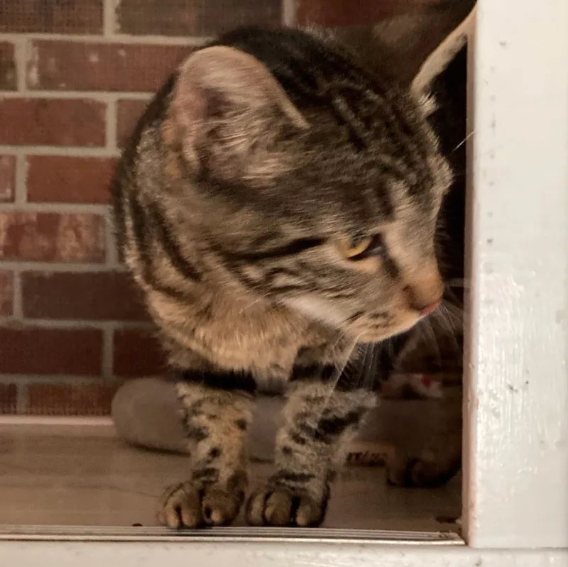 Chardonnay thumbnail 4