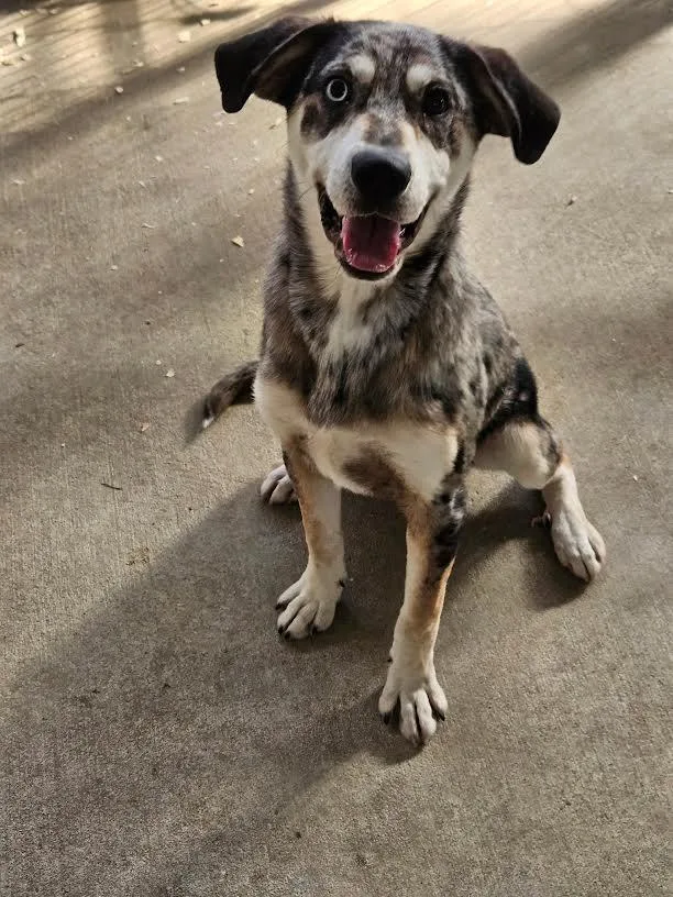 Maverick thumbnail 2