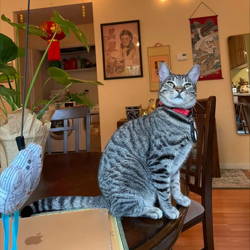 Lava Girl thumbnail 4