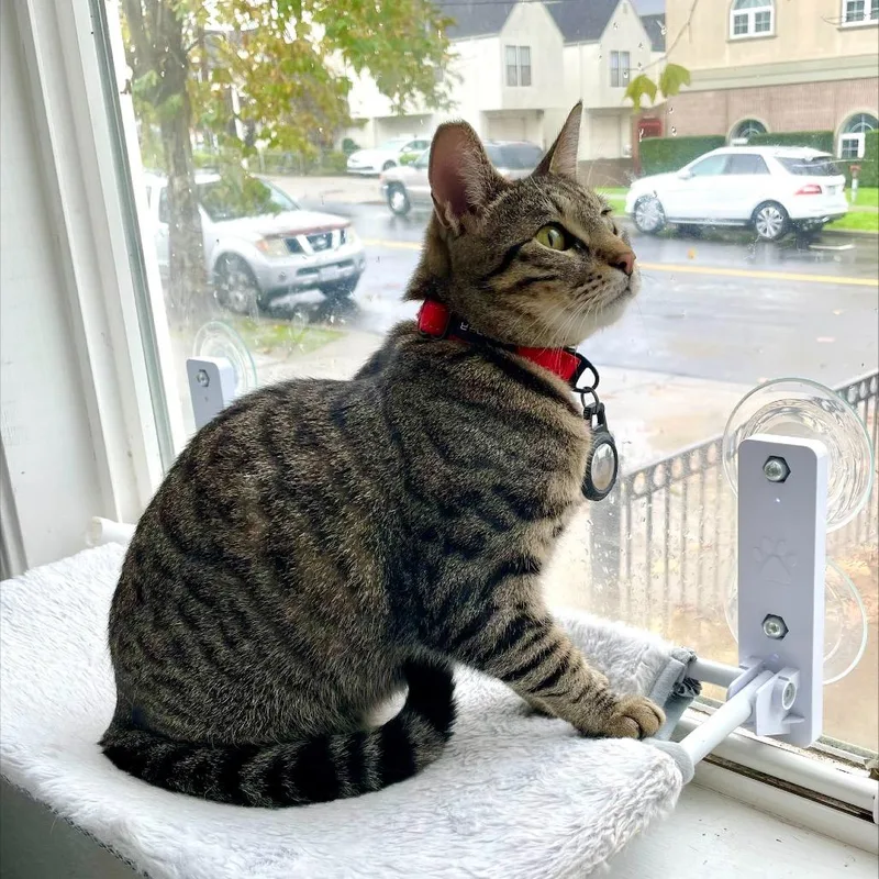 Lava Girl thumbnail 5