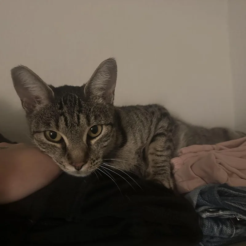 Lava Girl thumbnail 6