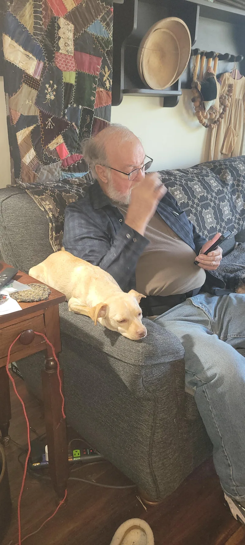 A young small-sized female Chihuahua dog named Teeny for adoption in Dayton, OH