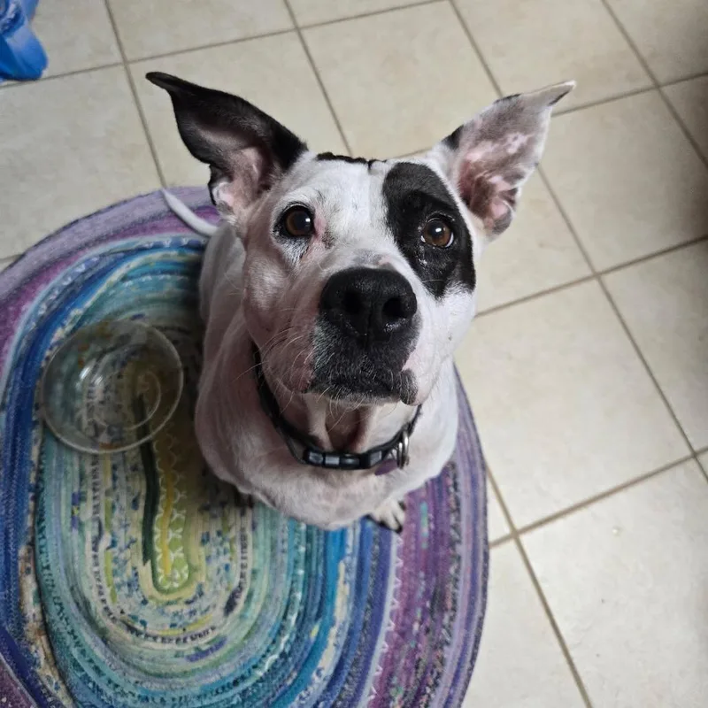 Pepper Anne