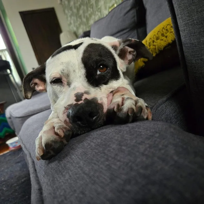 Pepper Anne thumbnail 6