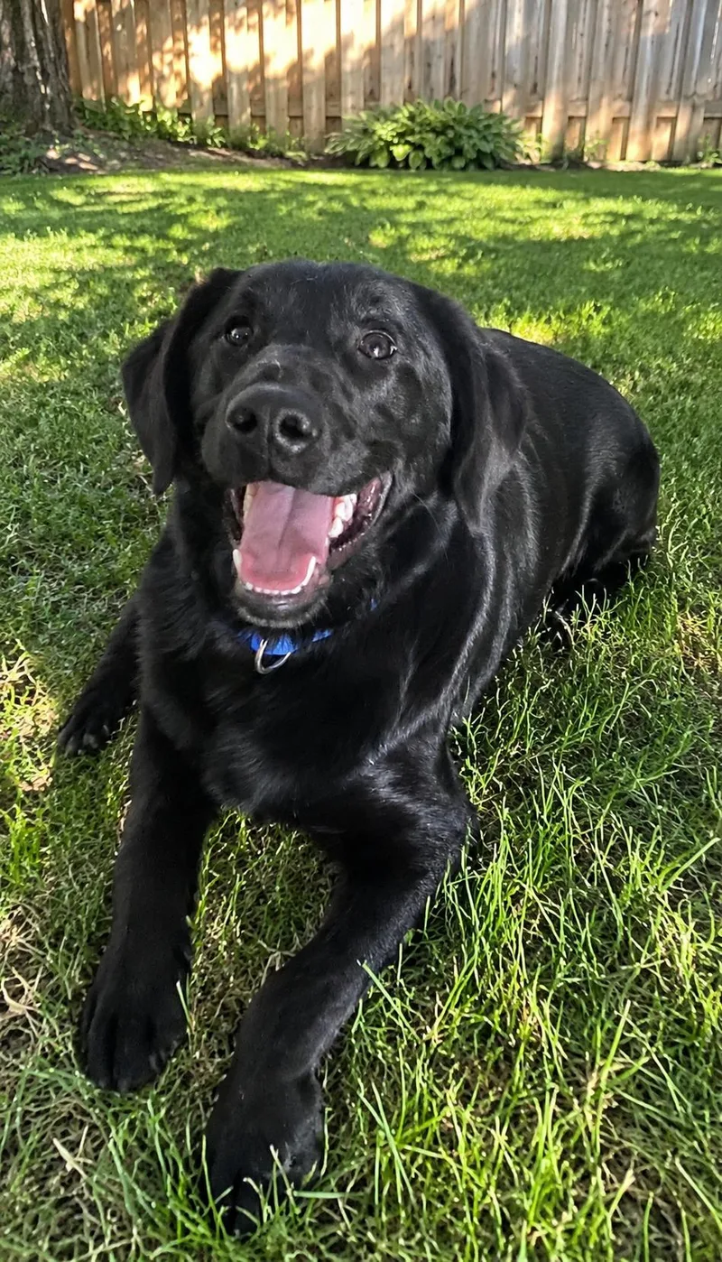 Benny