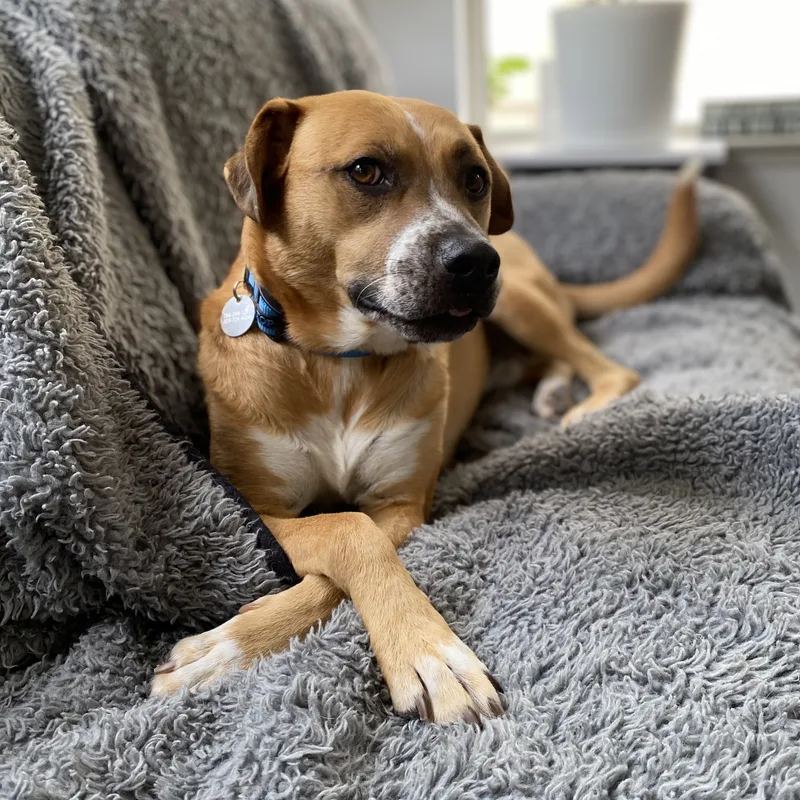 Jorge Rogelio Vicente Cortez thumbnail 2