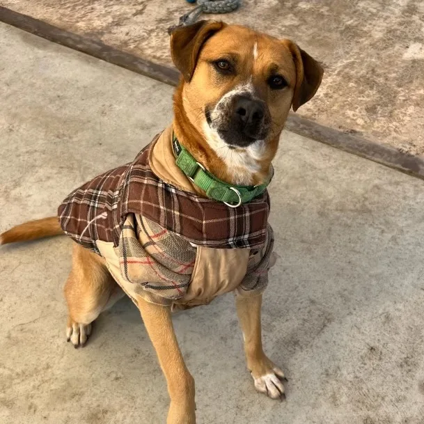 Jorge Rogelio Vicente Cortez thumbnail 3