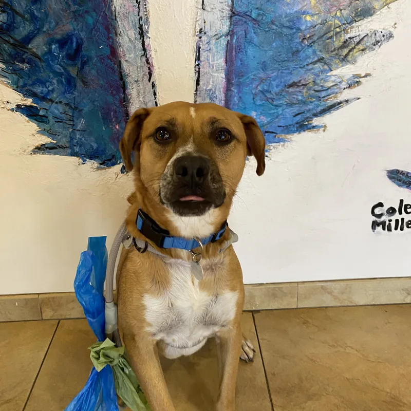 Jorge Rogelio Vicente Cortez thumbnail 5