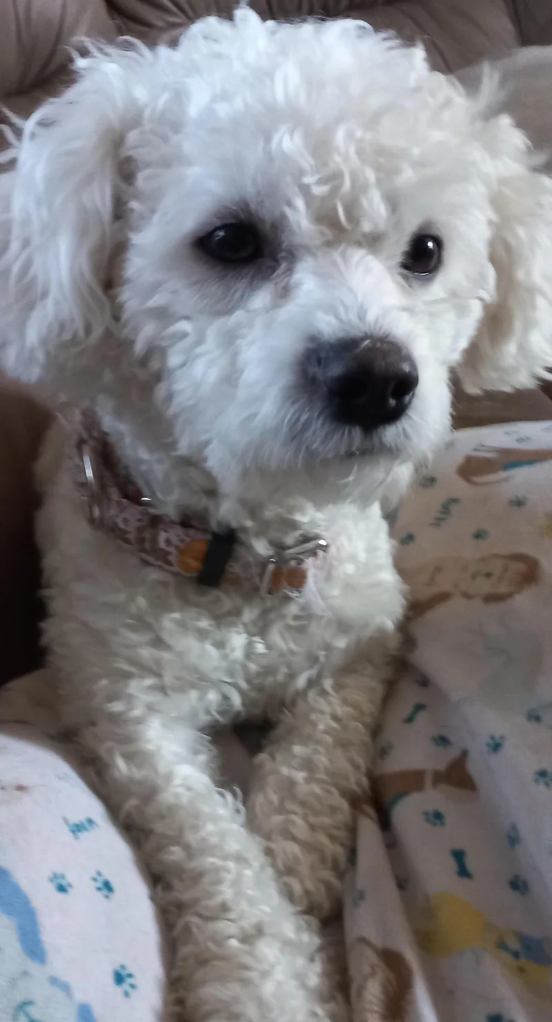 Captain Pete thumbnail 2