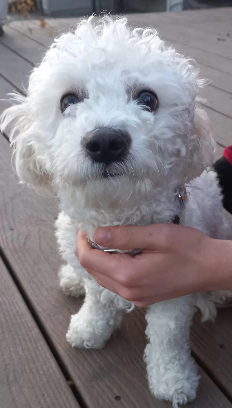 Captain Pete thumbnail 3