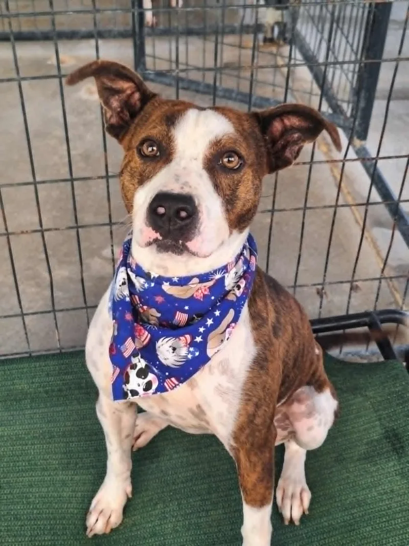 Ziva May thumbnail 2