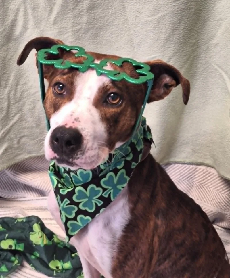 Ziva May thumbnail 3