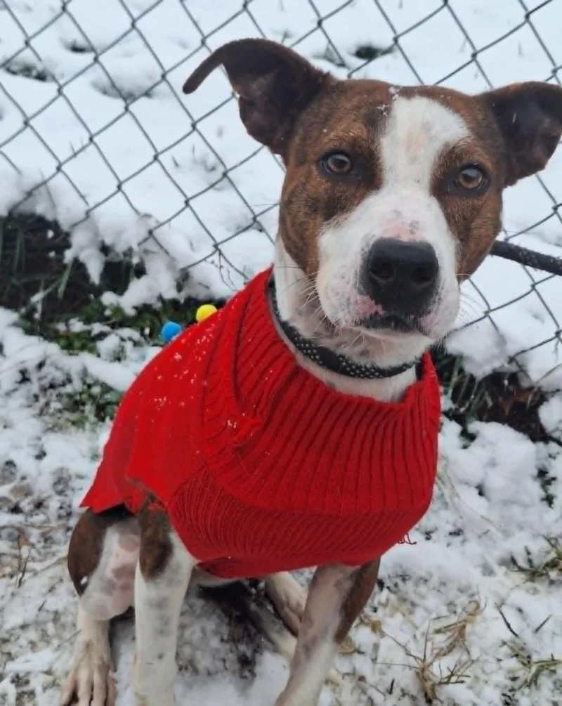 Ziva May thumbnail 4