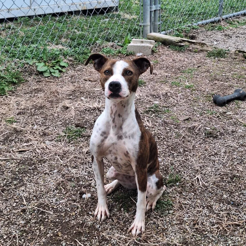 Ziva May thumbnail 5