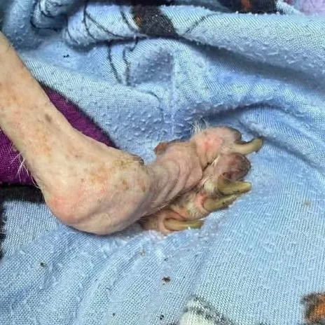 Zoey Hazel thumbnail 3