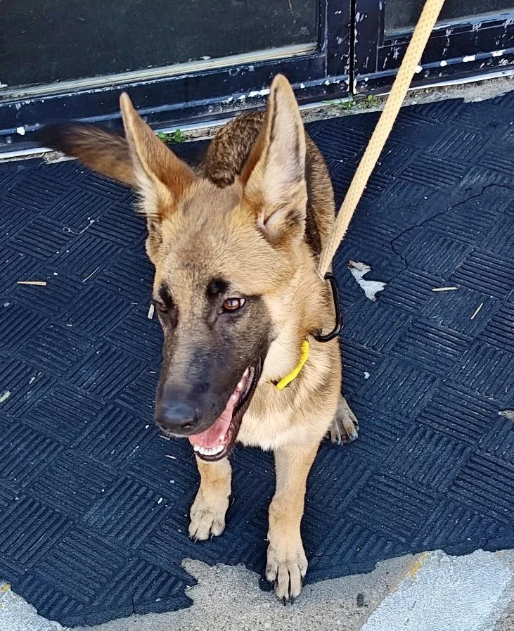 Ruex thumbnail 2