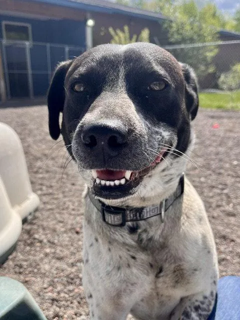 Chico