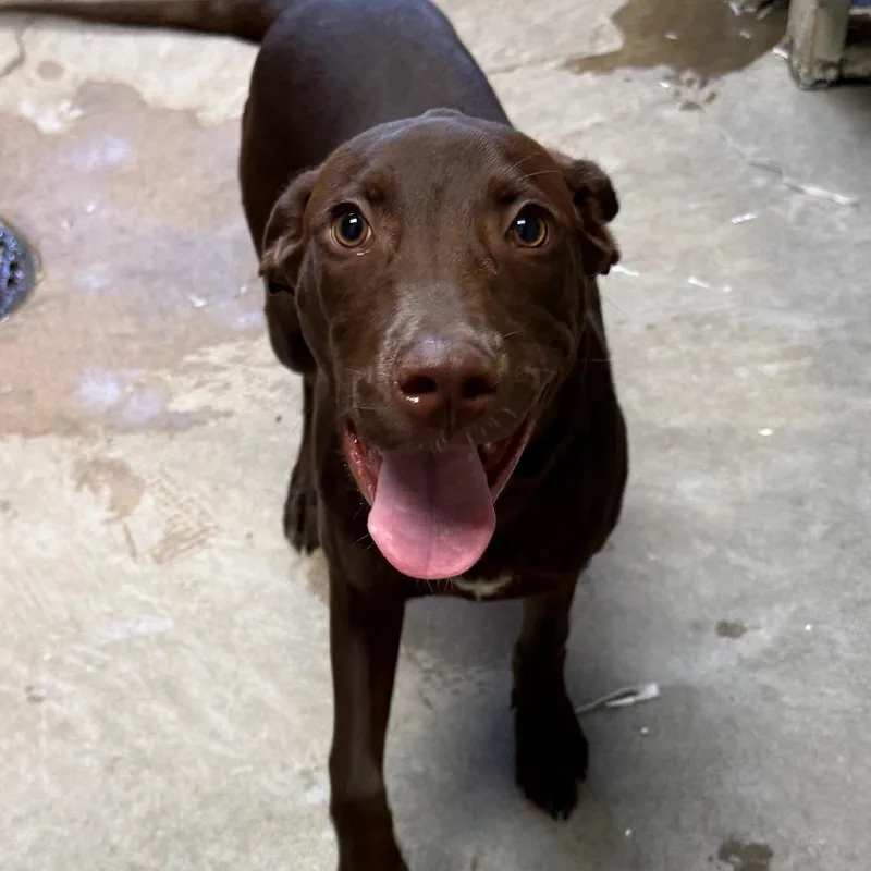 CoCo