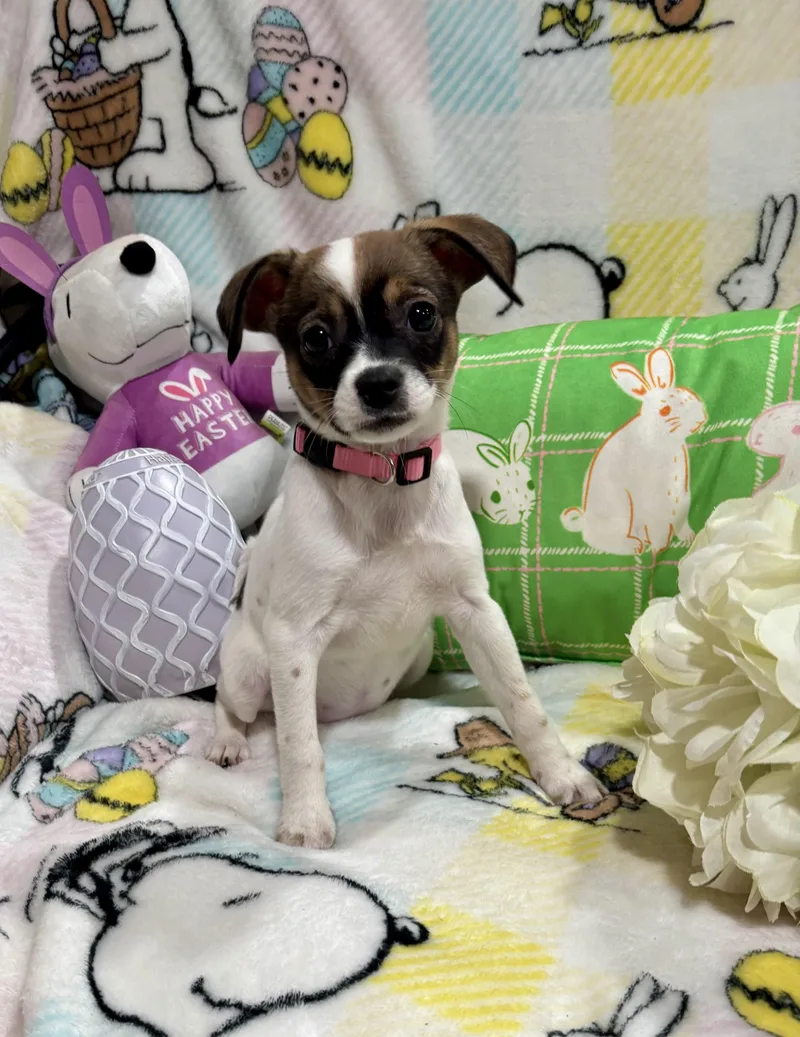 Princess Peach thumbnail 3