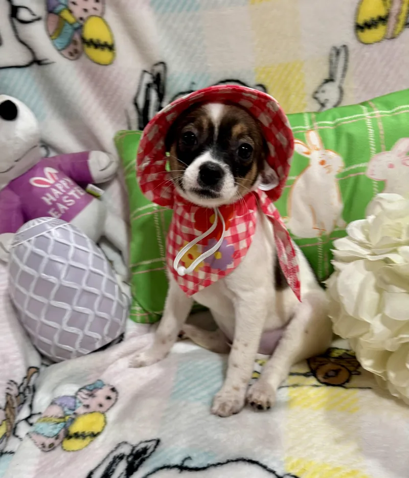 Princess Peach thumbnail 4