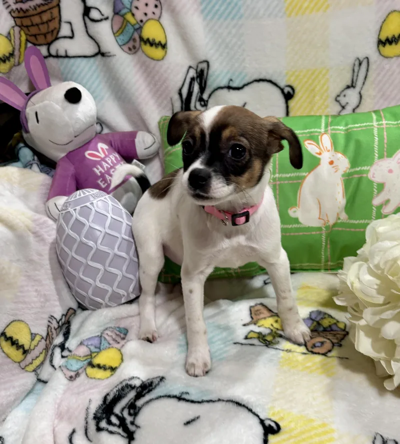 Princess Peach thumbnail 5