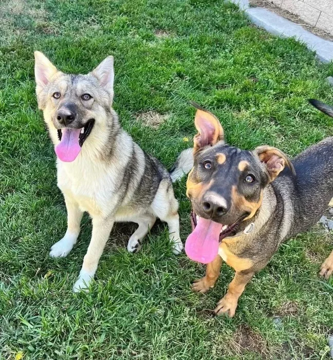 Awesome Courage  Young thumbnail 2