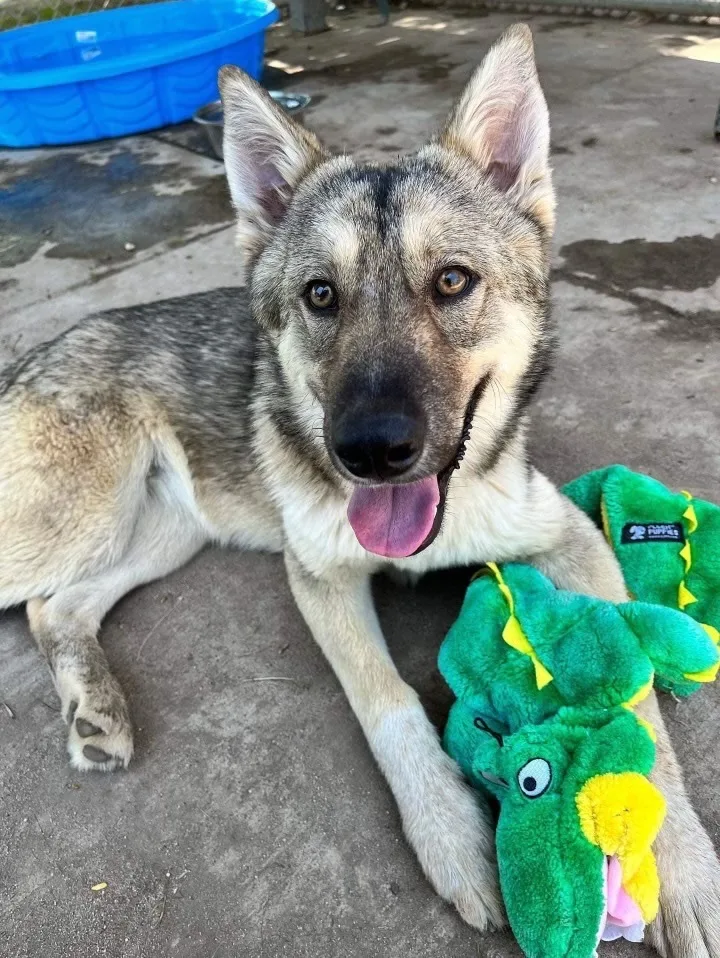 Awesome Courage  Young thumbnail 4