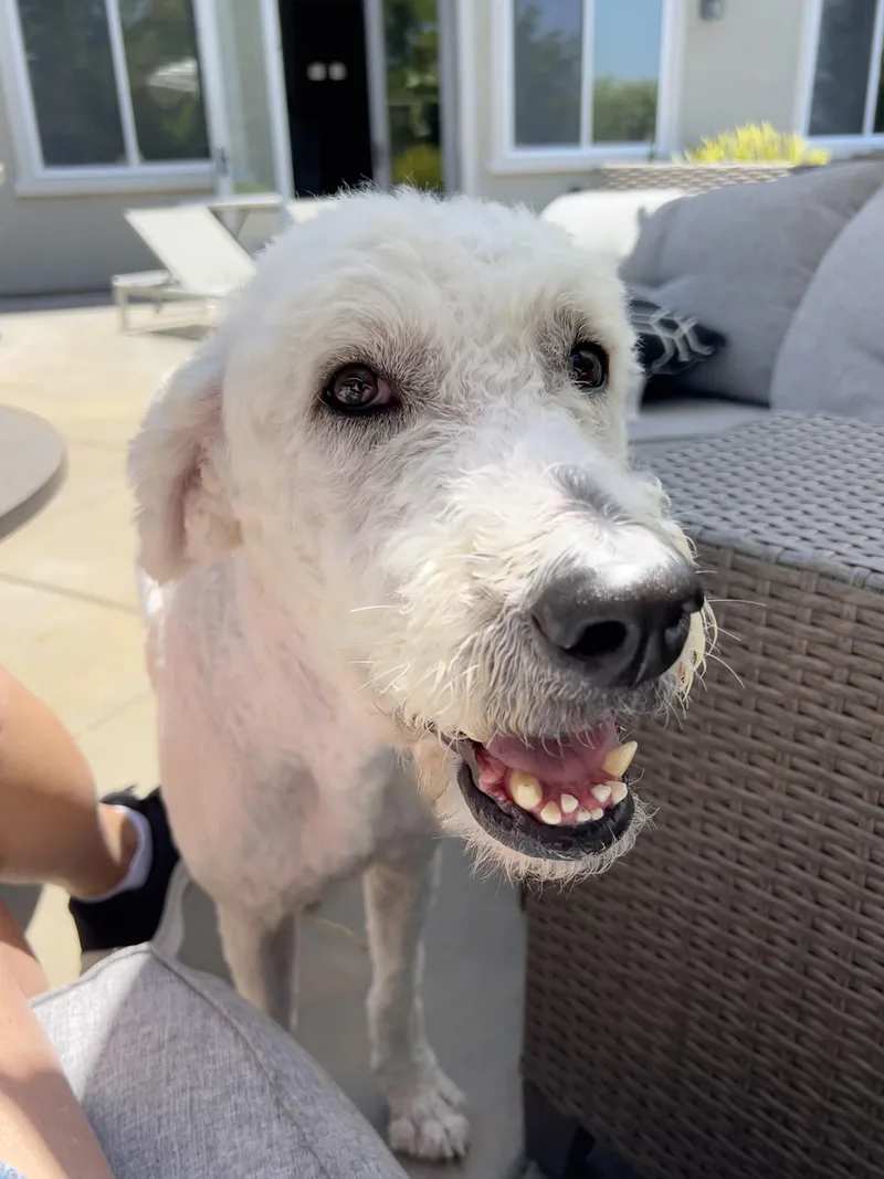 Darla thumbnail 3