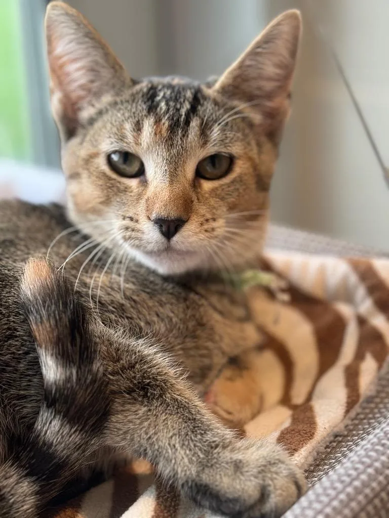 Francesca thumbnail 2