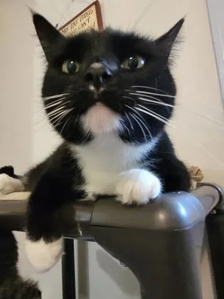 Sweet Pea thumbnail 2