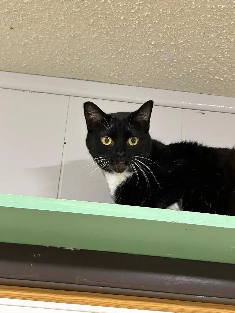 Samantha thumbnail 3