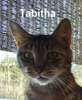 Tabitha Dowl.