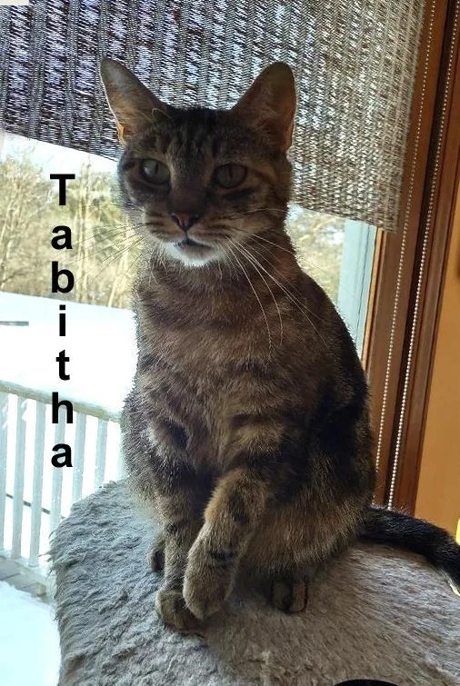 Tabitha Dowl. thumbnail 2