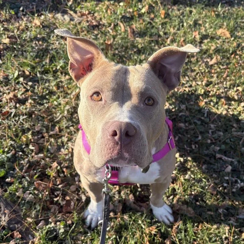 Mary Mira thumbnail 2