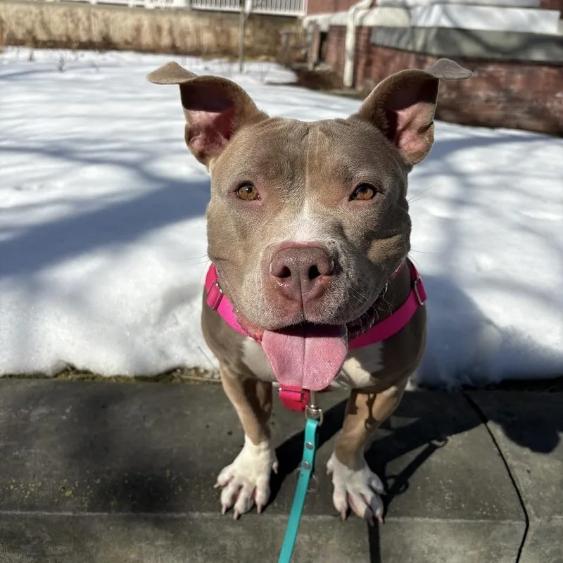 Mary Mira thumbnail 5