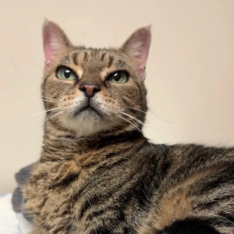 Juliette thumbnail 2