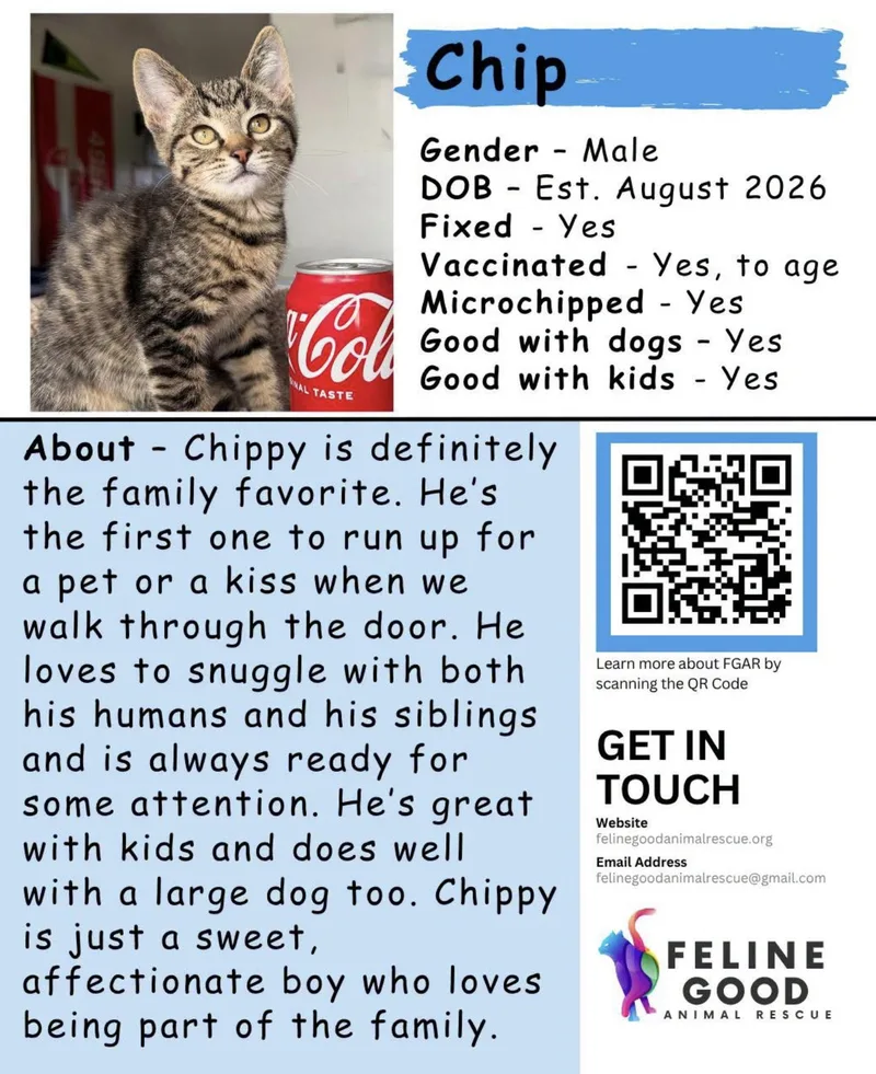 Chip thumbnail 6