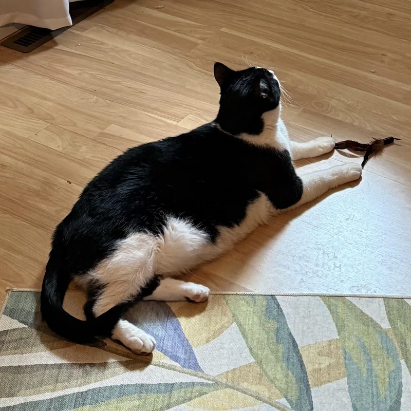 Lenny thumbnail 3