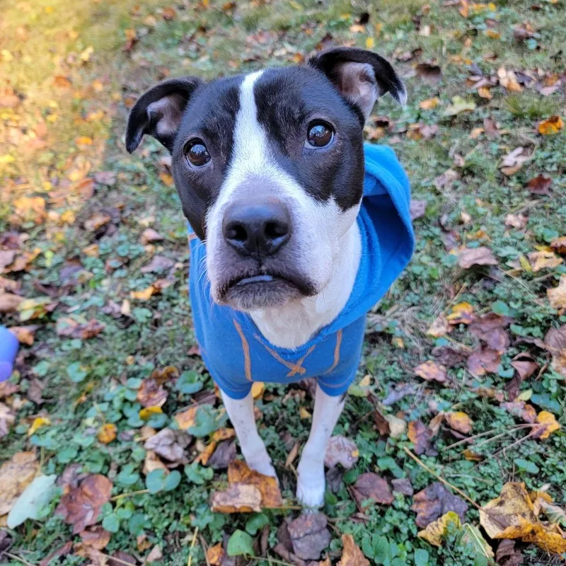 Sailor Mars thumbnail 2