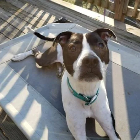 Sailor Mars thumbnail 3