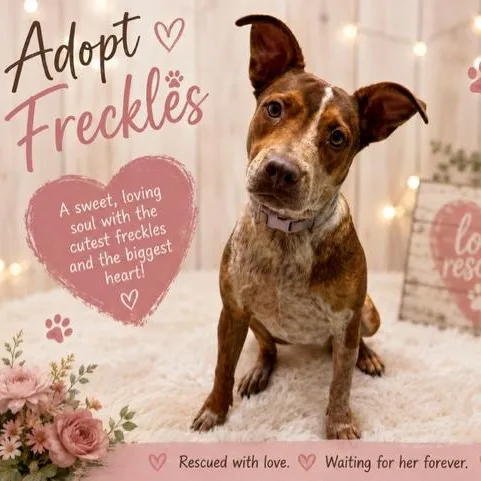 Freckles thumbnail 3