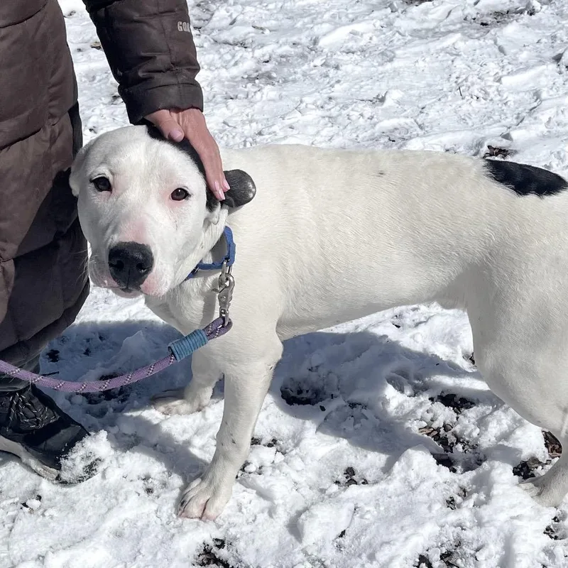 Jarritos thumbnail 2