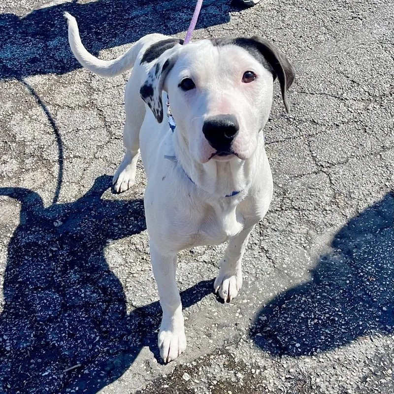 Jarritos thumbnail 3