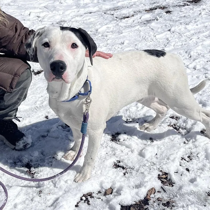 Jarritos thumbnail 4