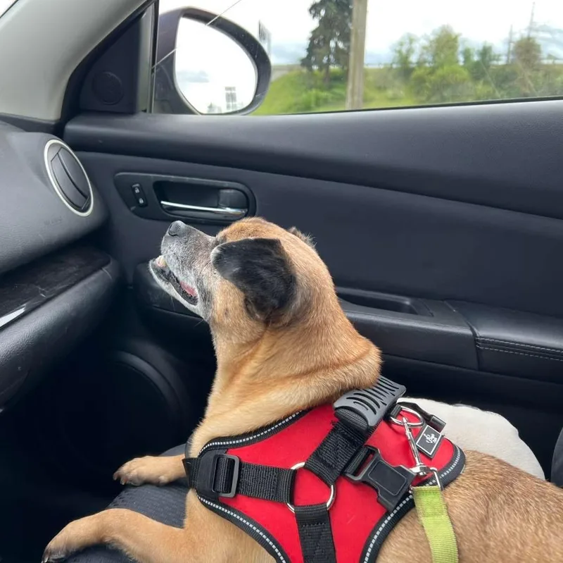 Mike Wazoski thumbnail 2