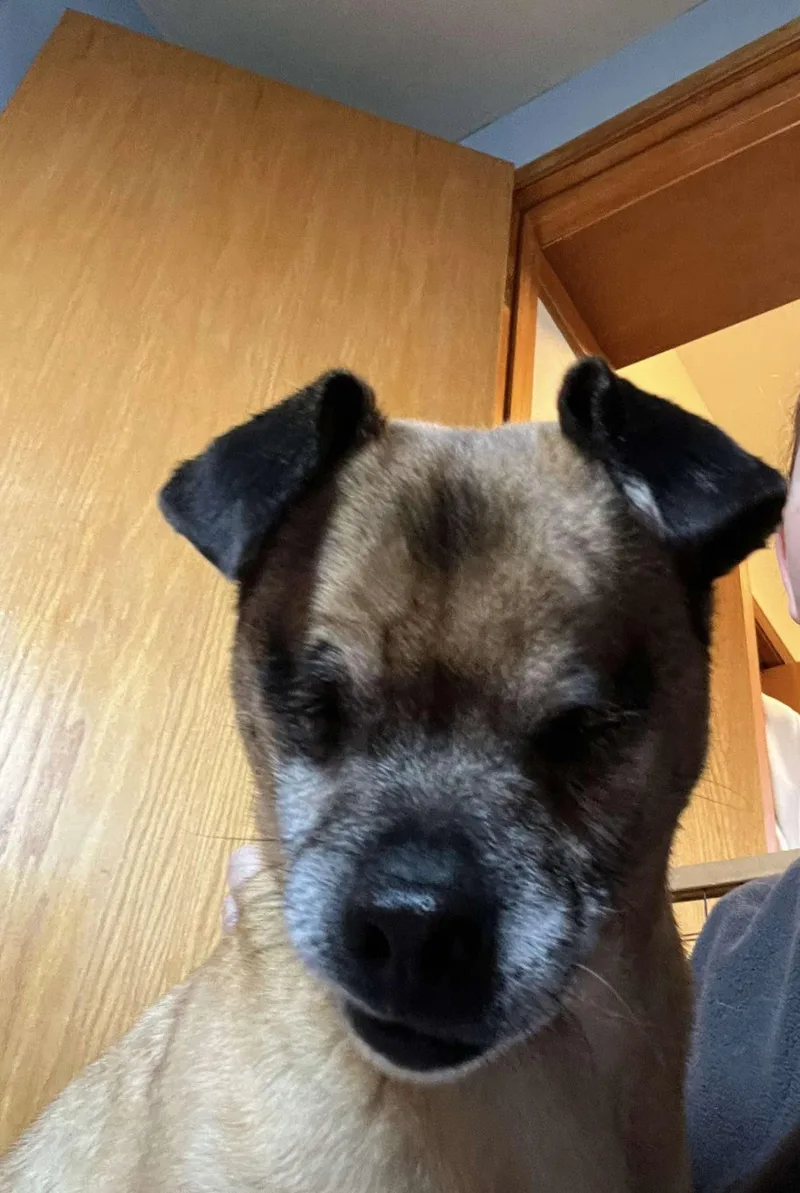 Mike Wazoski thumbnail 3